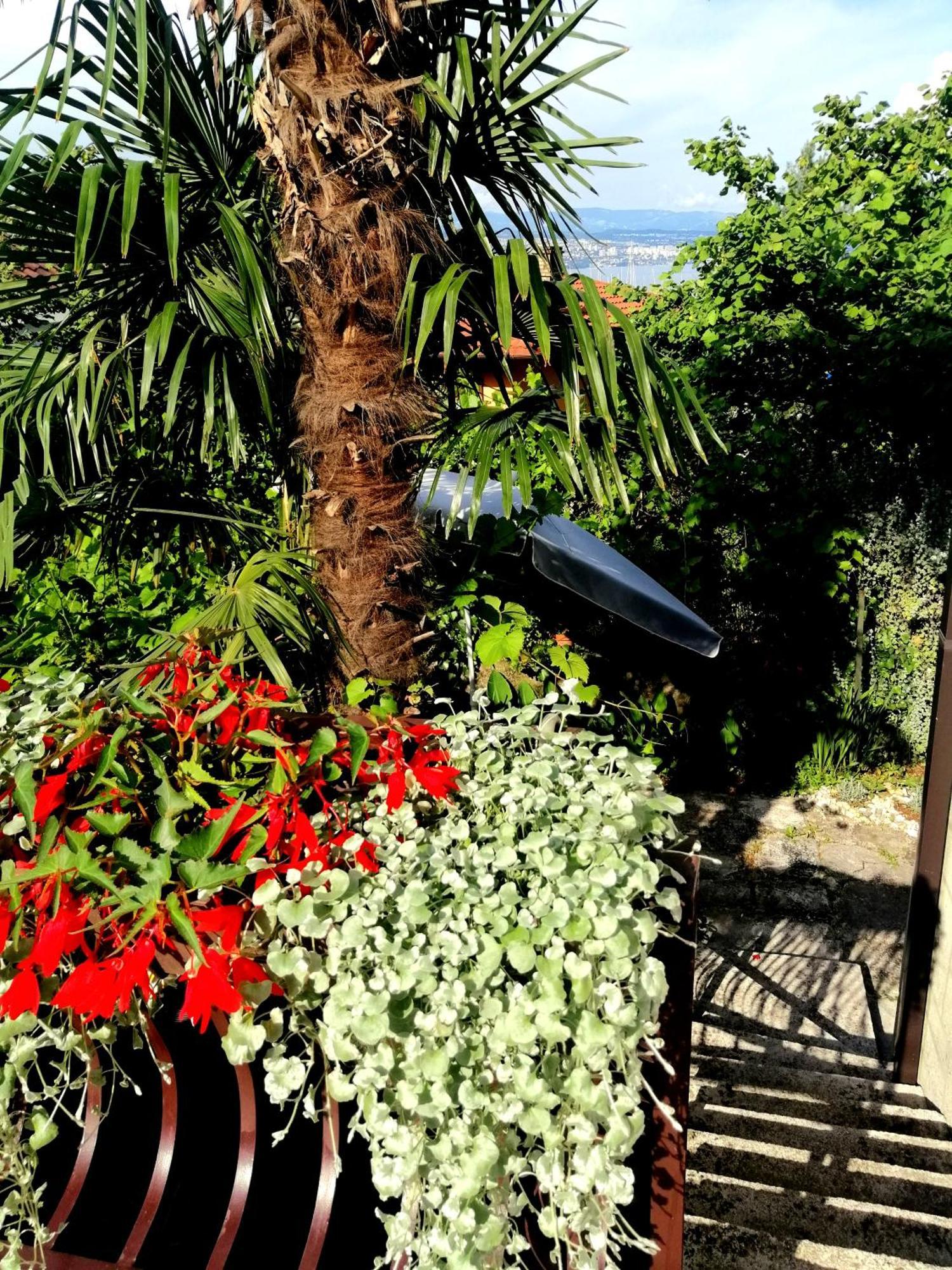 Apartment Sea Garden Ičići Eksteriør billede